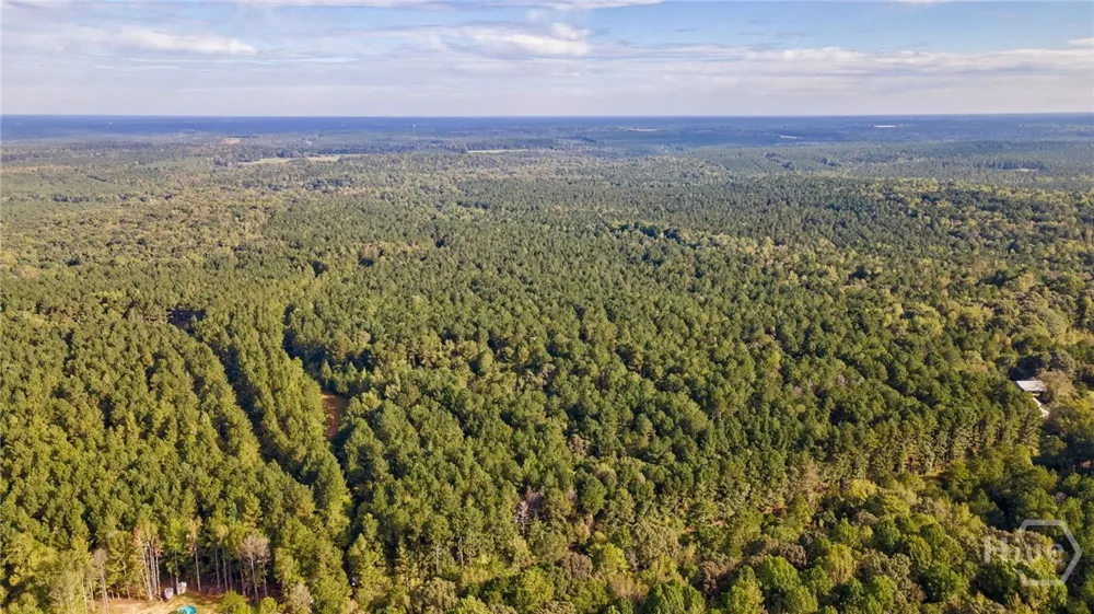 Lower Wirebridge Road Stephens, GA 30667