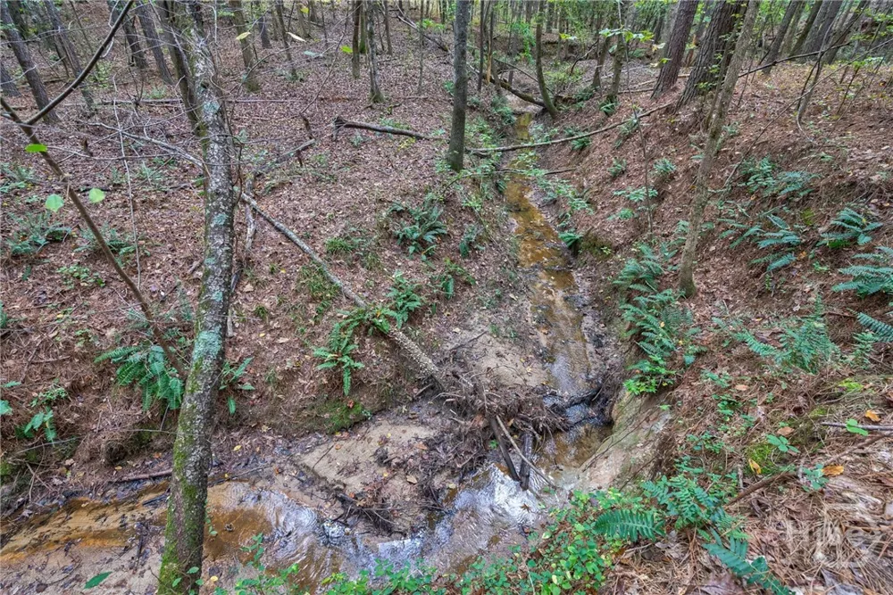 Lower Wirebridge Road Stephens, GA 30667