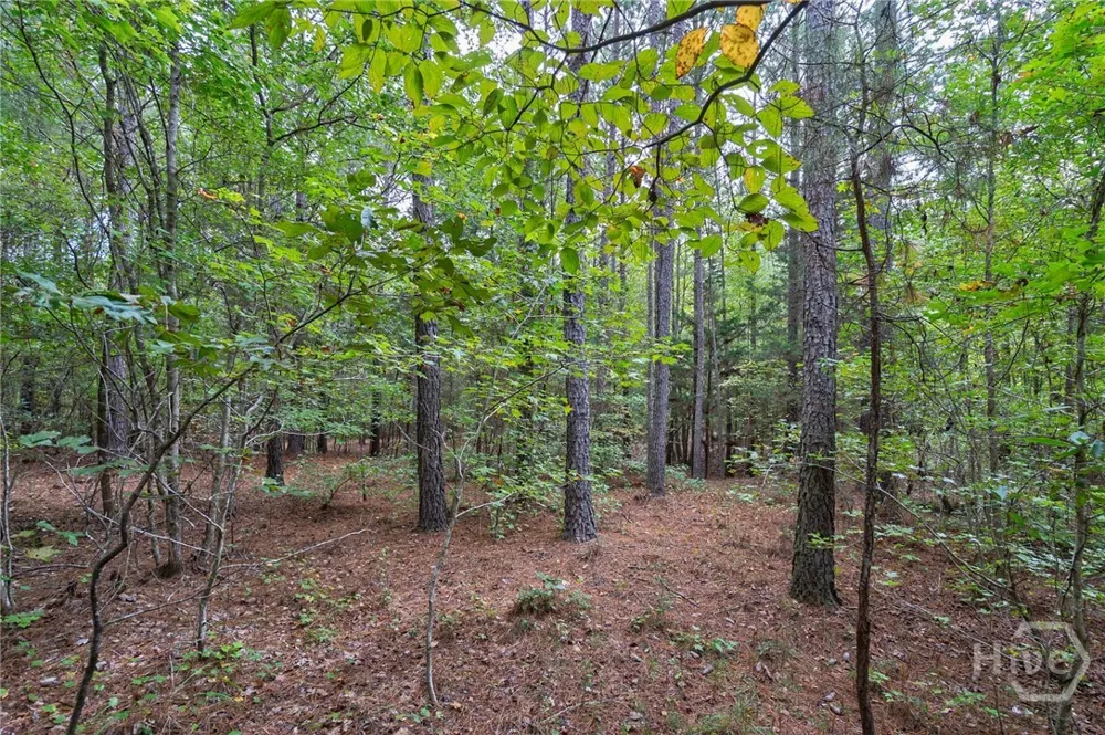 Lower Wirebridge Road Stephens, GA 30667
