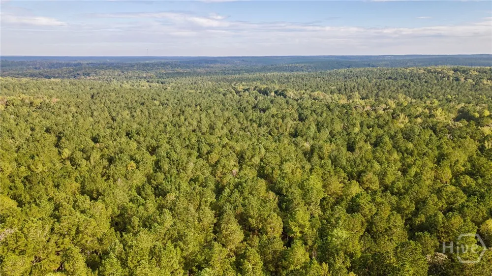 Lower Wirebridge Road Stephens, GA 30667