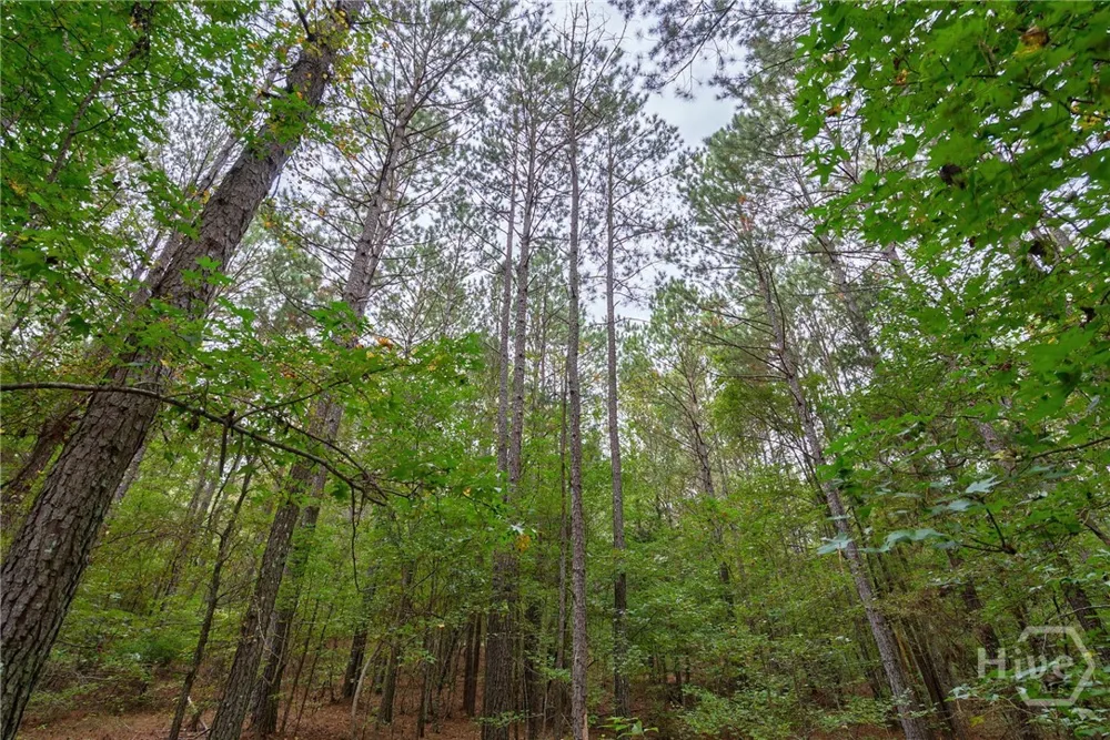 Lower Wirebridge Road Stephens, GA 30667