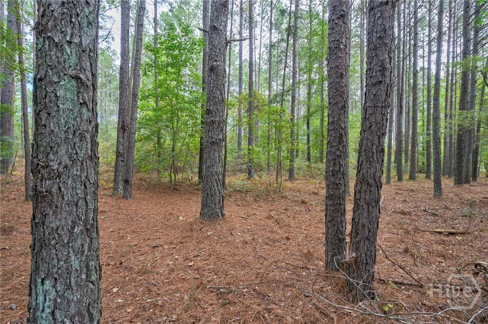 Lower Wirebridge Road Stephens, GA 30667
