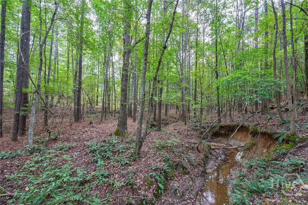 Lower Wirebridge Road Stephens, GA 30667