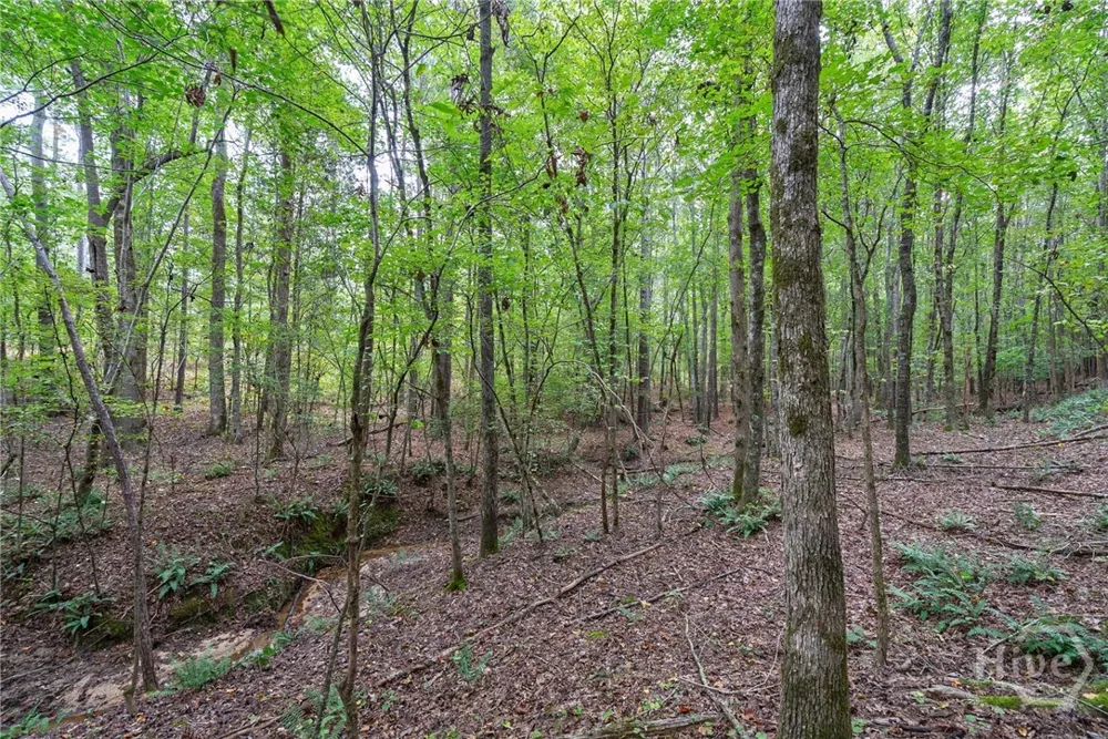 Lower Wirebridge Road Stephens, GA 30667