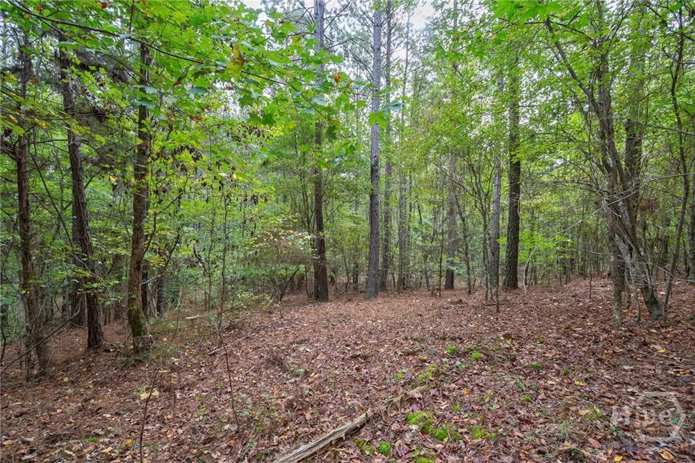 Lower Wirebridge Road Stephens, GA 30667