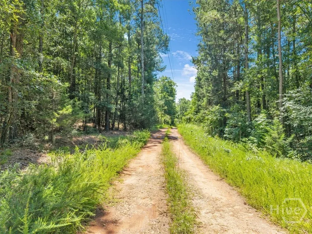 336 Piney Grove Road Comer, GA 30629
