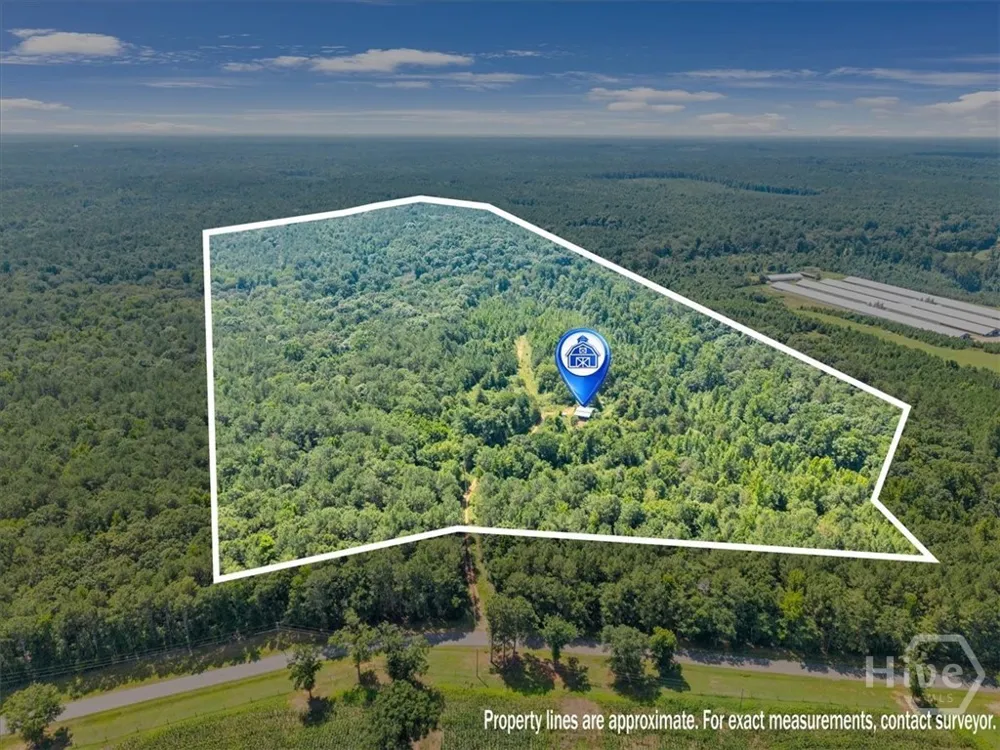 336 Piney Grove Road Comer, GA 30629