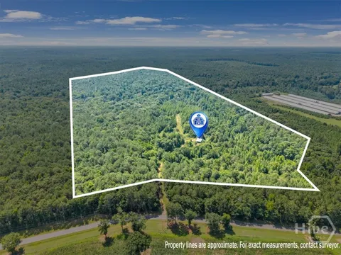 336 Piney Grove Road