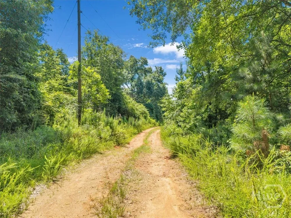 336 Piney Grove Road Comer, GA 30629
