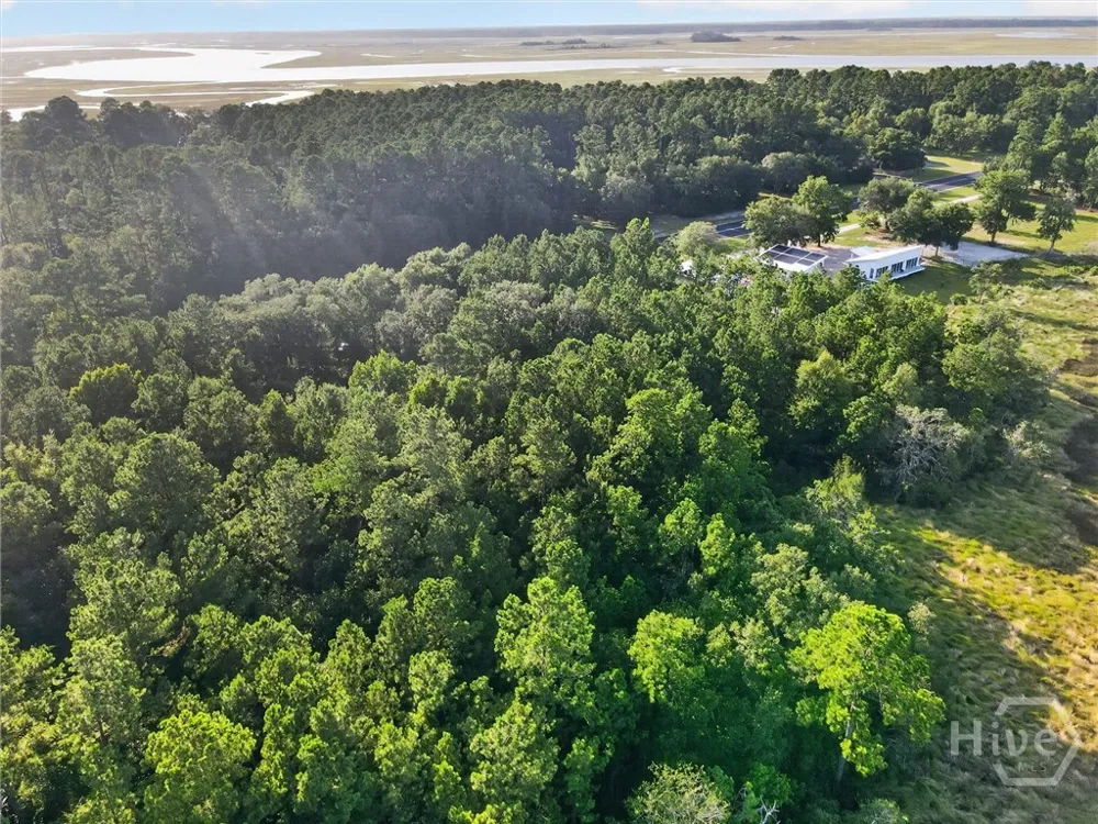 23 Barnstorm Road NE Townsend, GA 31331