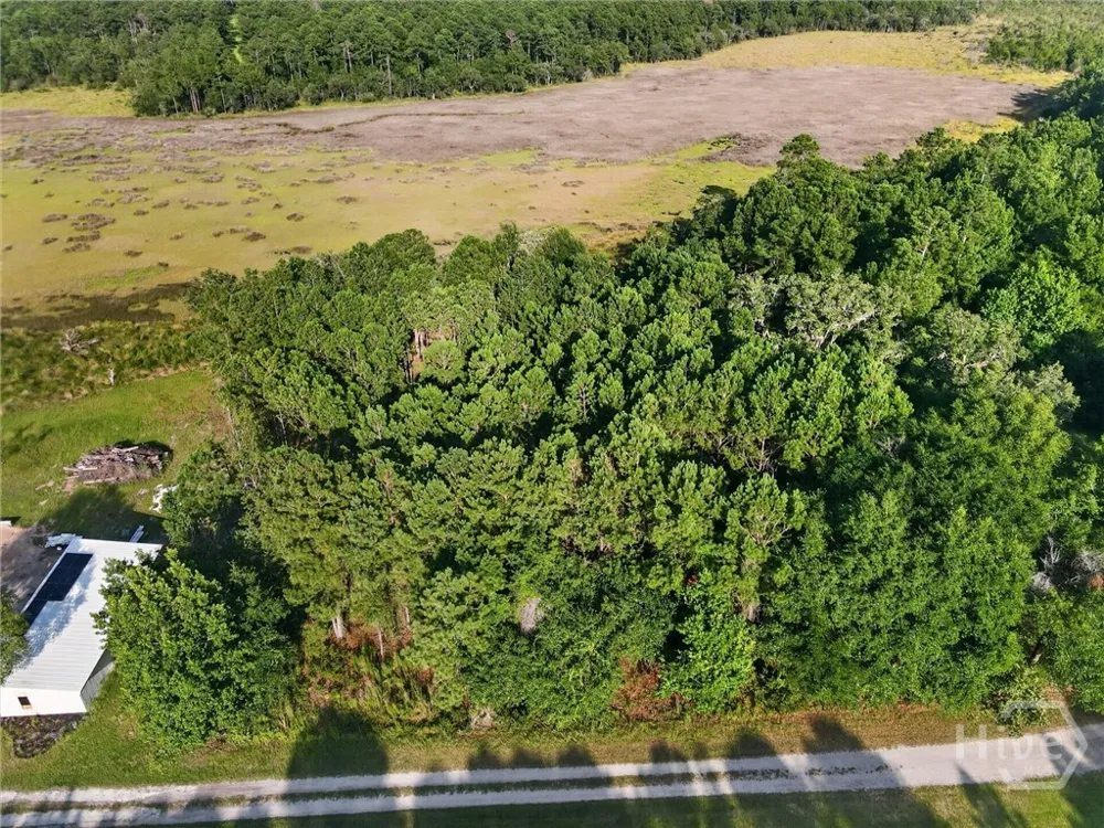 23 Barnstorm Road NE Townsend, GA 31331