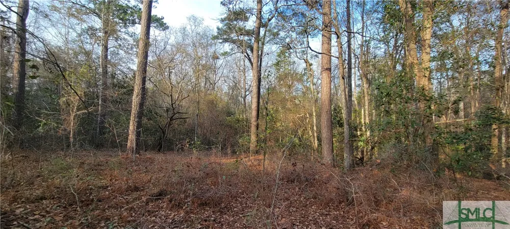 Pine Needle Drive Ellabell, GA 31308
