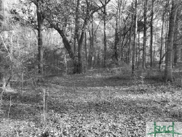 Pine Needle Drive Ellabell, GA 31308