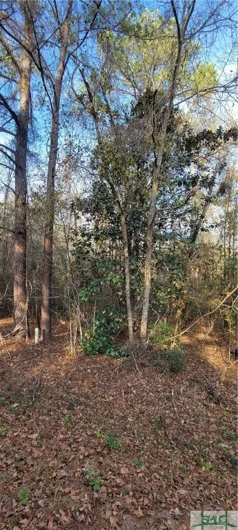 Pine Needle Drive Ellabell, GA 31308