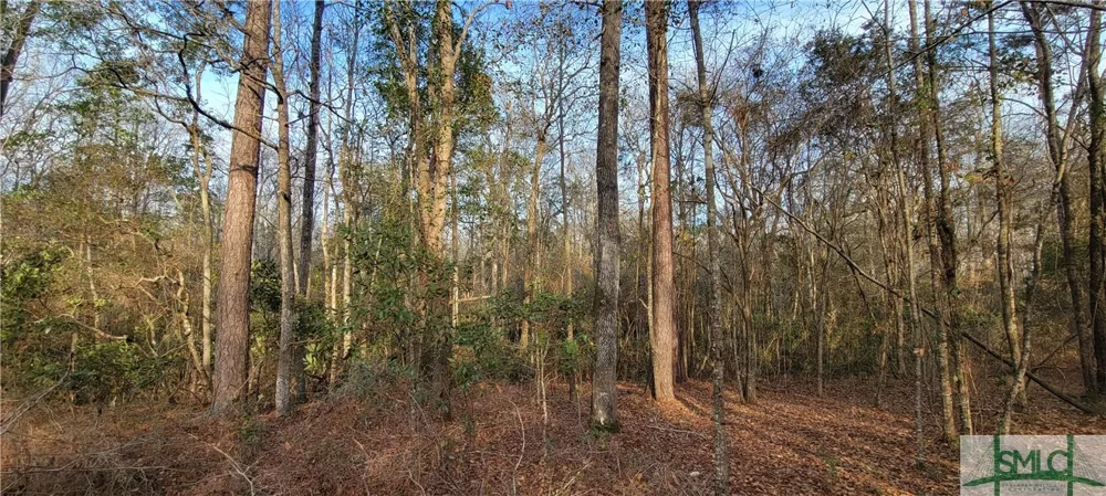 Pine Needle Drive Ellabell, GA 31308