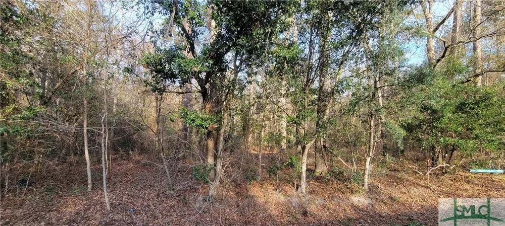 Pine Needle Drive Ellabell, GA 31308