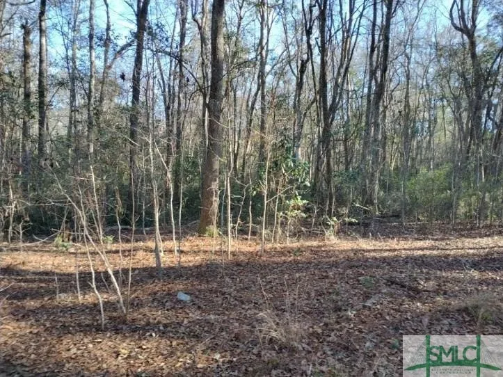 Pine Needle Drive Ellabell, GA 31308