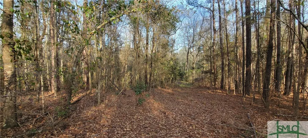 Pine Needle Drive Ellabell, GA 31308
