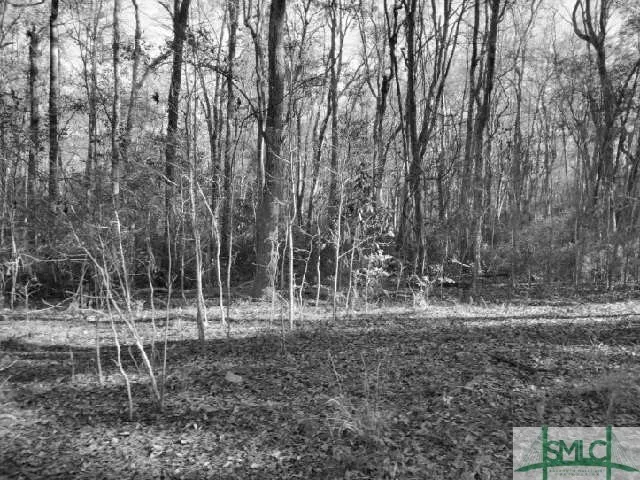 Pine Needle Drive Ellabell, GA 31308