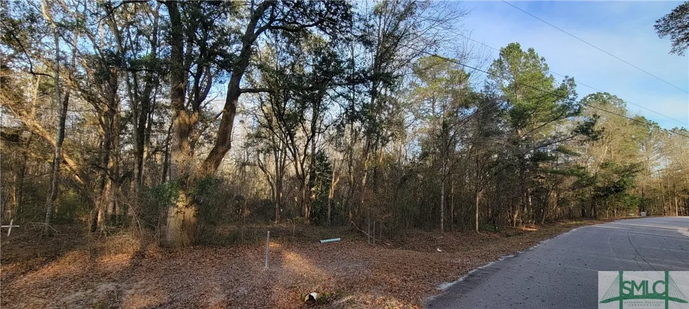 Pine Needle Drive Ellabell, GA 31308