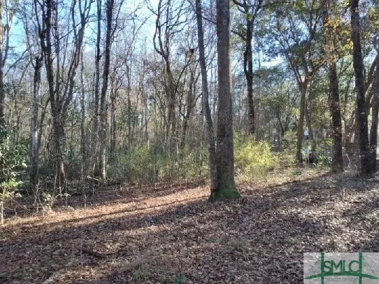 Pine Needle Drive Ellabell, GA 31308