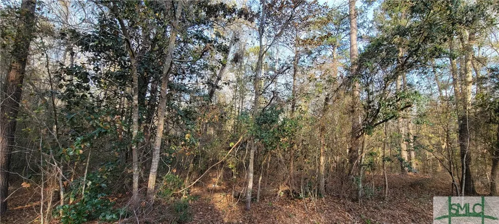 Pine Needle Drive Ellabell, GA 31308