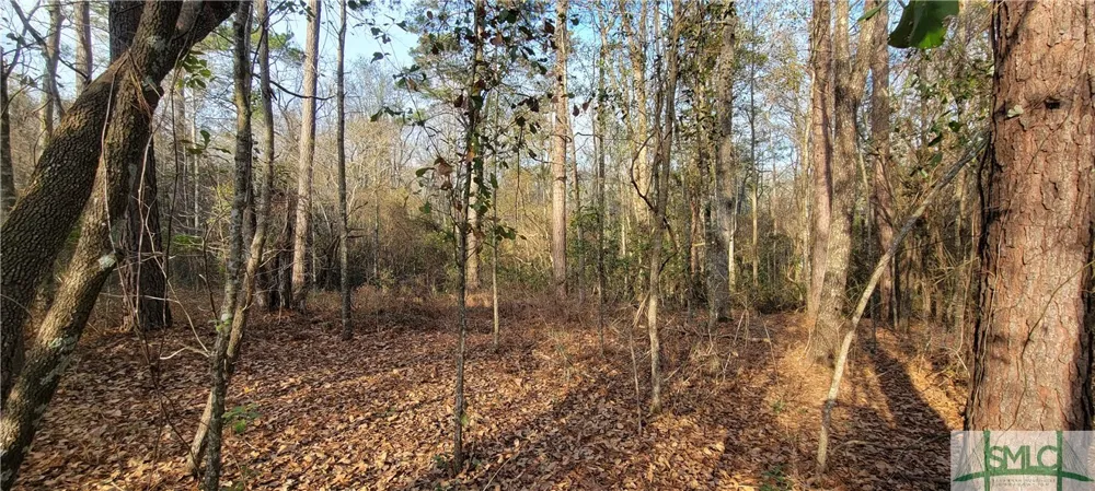 Pine Needle Drive Ellabell, GA 31308