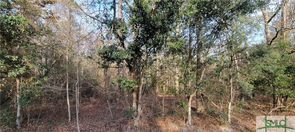 Pine Needle Drive Ellabell, GA 31308