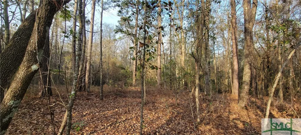 Pine Needle Drive Ellabell, GA 31308