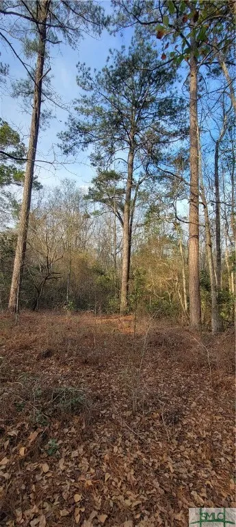 Pine Needle Drive Ellabell, GA 31308