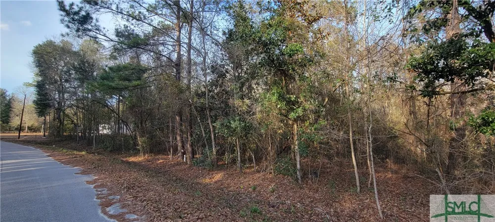 Pine Needle Drive Ellabell, GA 31308