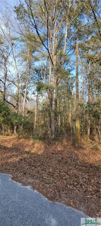 Pine Needle Drive Ellabell, GA 31308