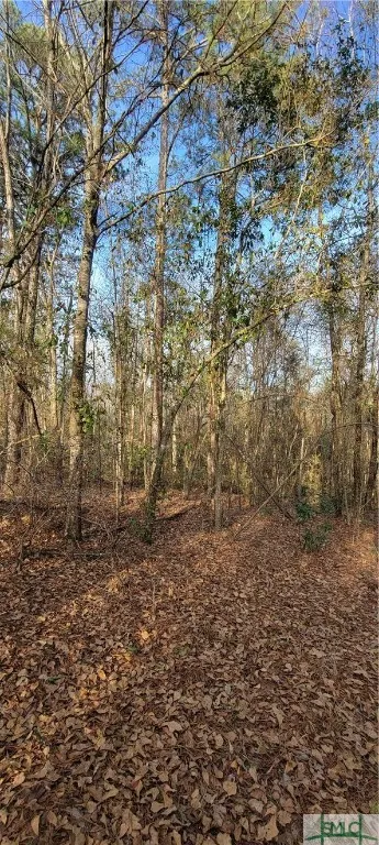 Pine Needle Drive Ellabell, GA 31308