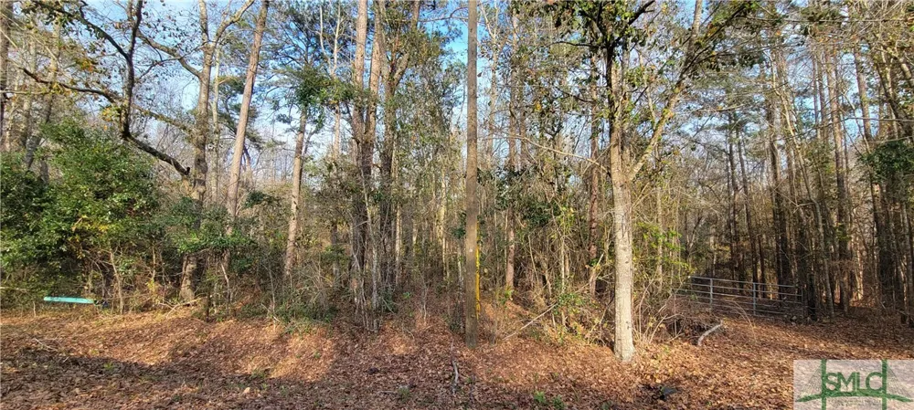 Pine Needle Drive Ellabell, GA 31308