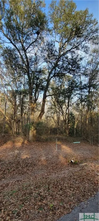 Pine Needle Drive Ellabell, GA 31308
