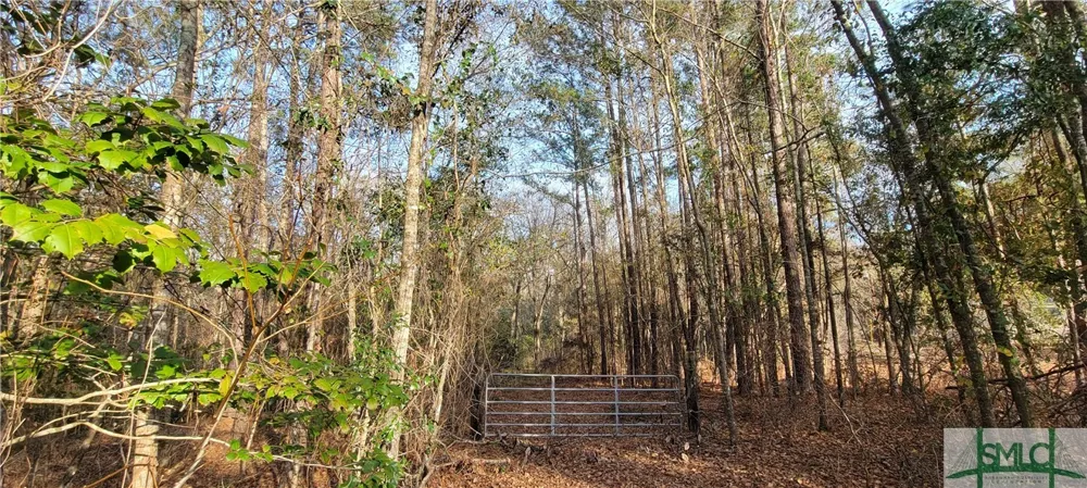 Pine Needle Drive Ellabell, GA 31308