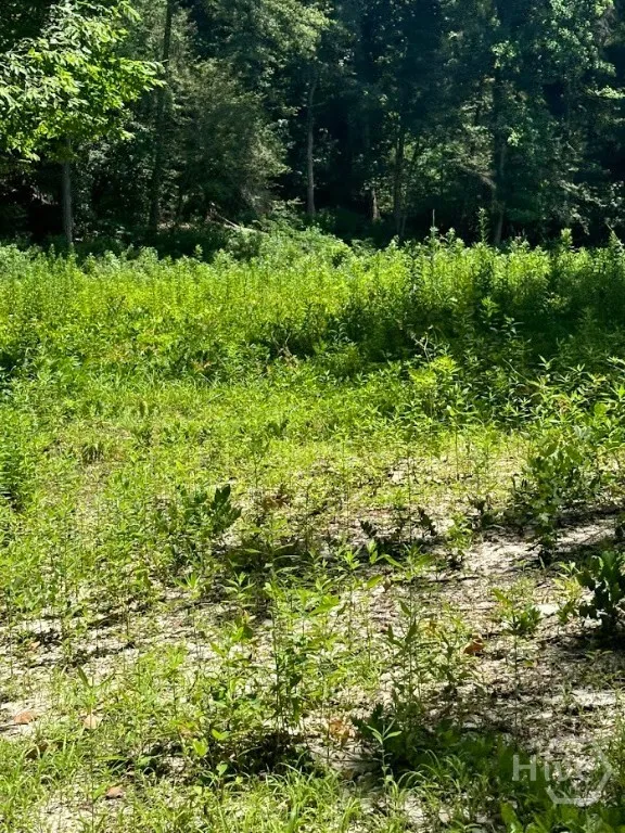 282 Tuckasee King Road Clyo, GA 31303
