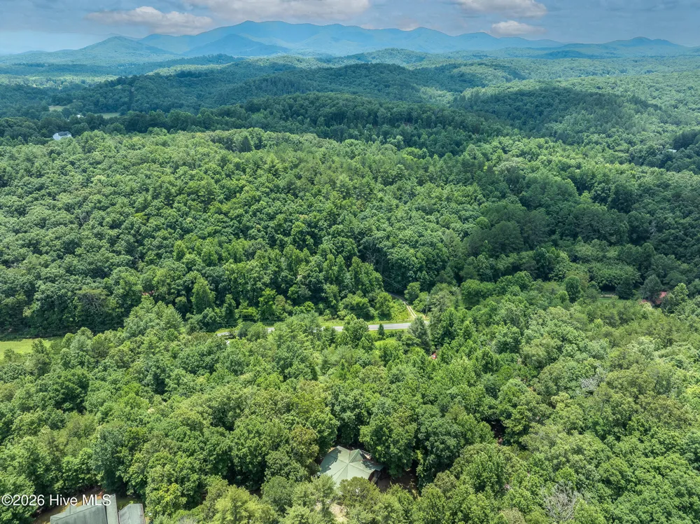 167 Brasstown View Brasstown, NC 28902