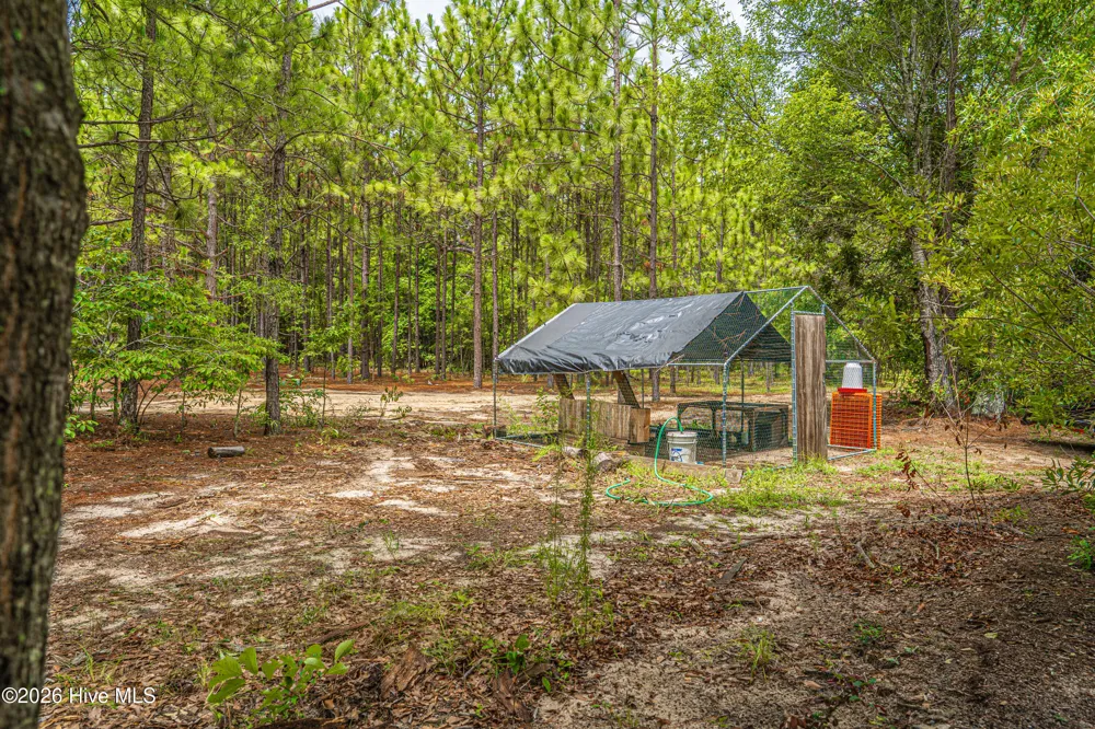1431 Hylan Avenue Hamlet, NC 28345