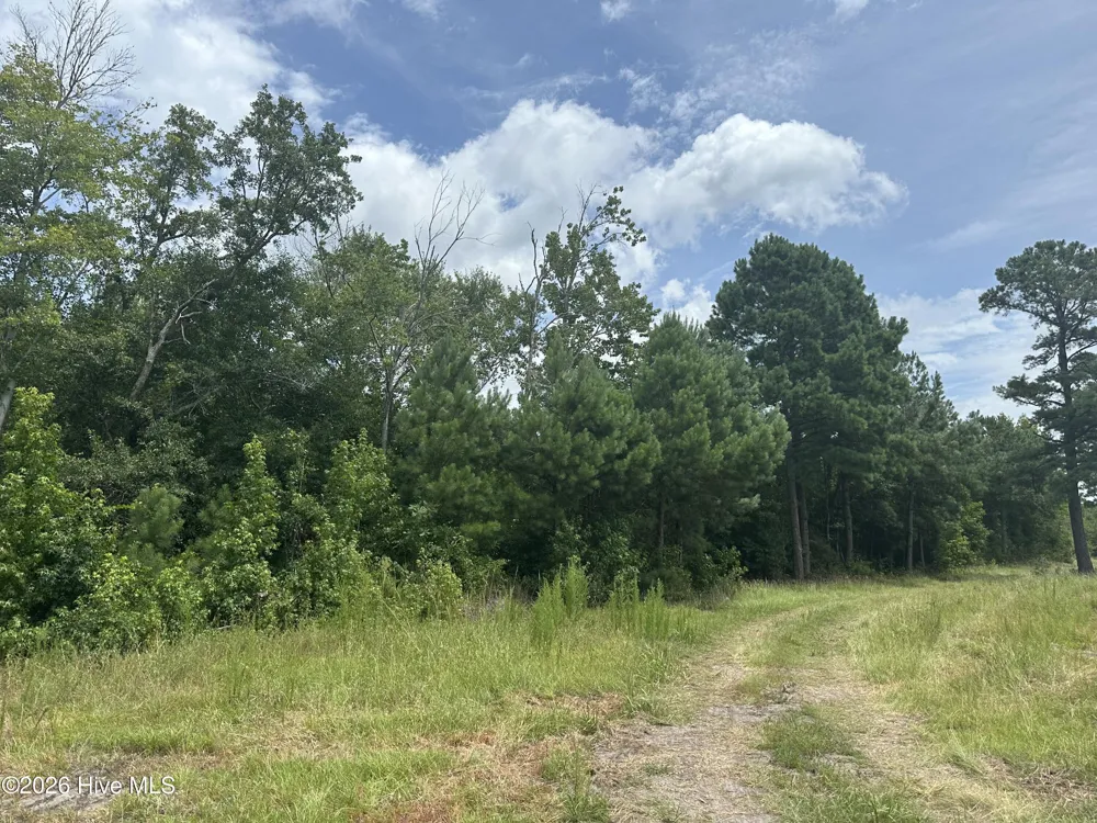 Near 99 Andrews Lake Drive Tabor City, NC 28463