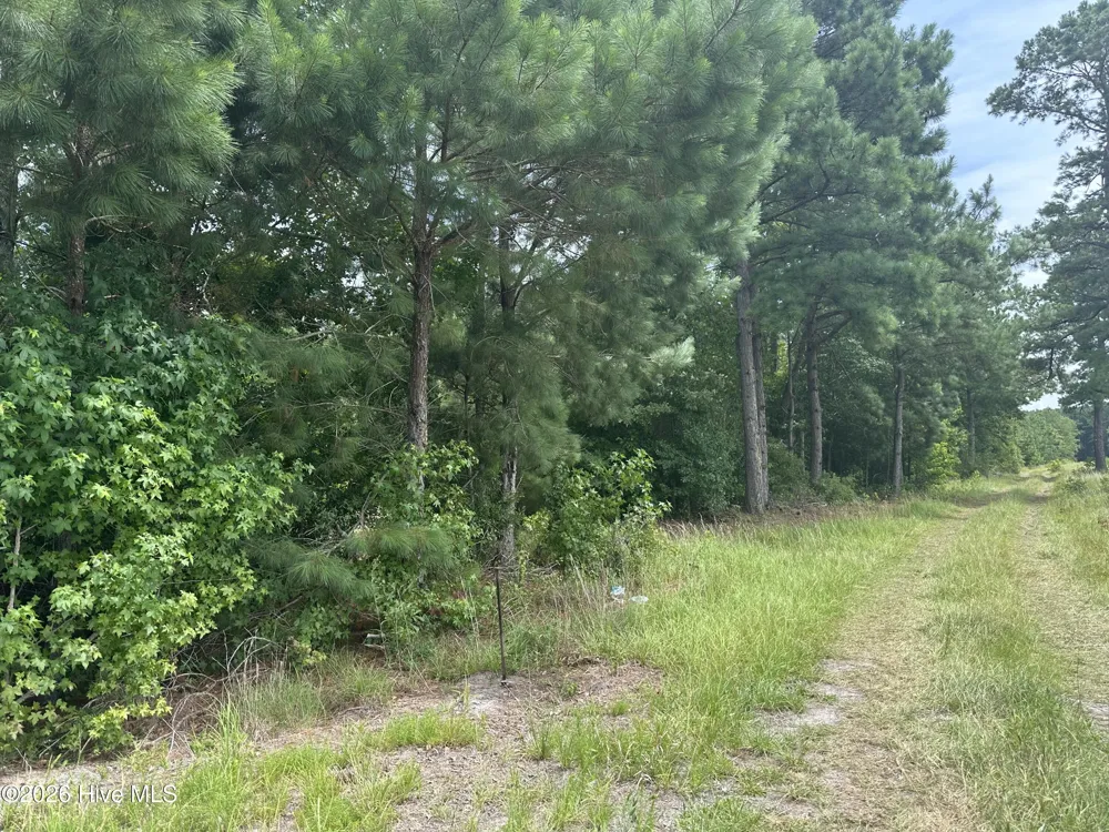 Near 99 Andrews Lake Drive Tabor City, NC 28463