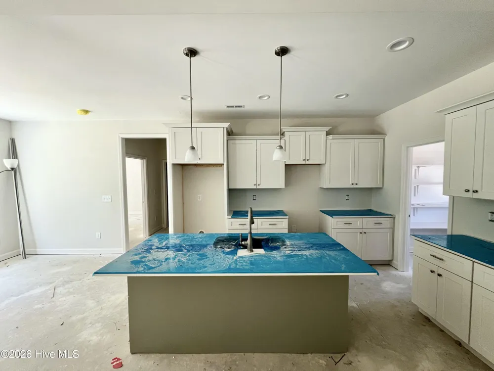 310 Creeks Edge Drive Pikeville, NC 27863