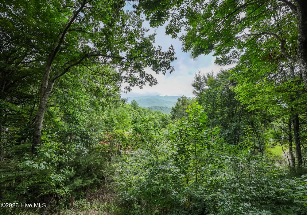 259 Laurel Lane Topton, NC 28781