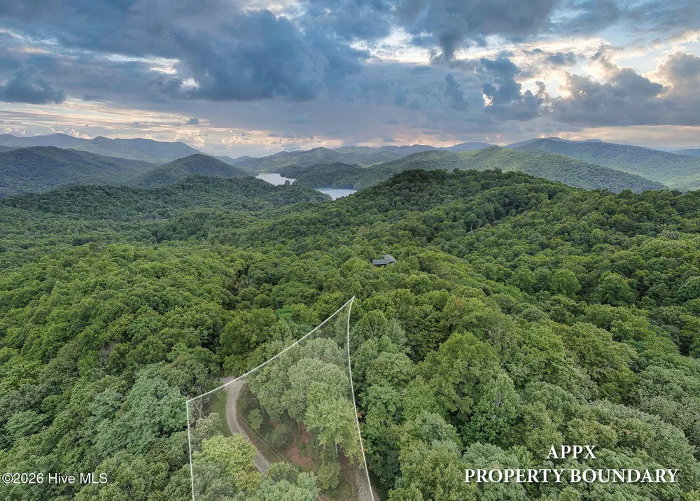 259 Laurel Lane Topton, NC 28781