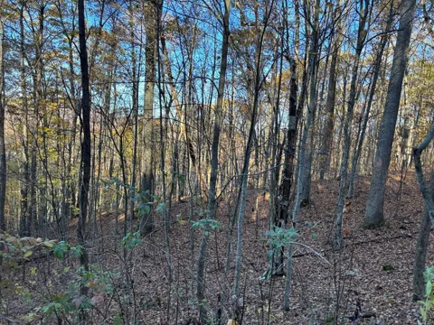 Lot#39 Falcon Stone Ridge