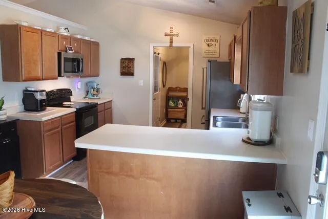 118 Pear Tree Lane Richlands, NC 28574