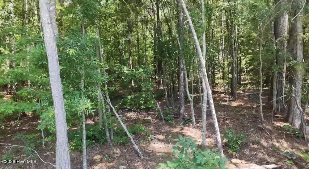 110 North Martintown Road Road Edgefield, SC 29824
