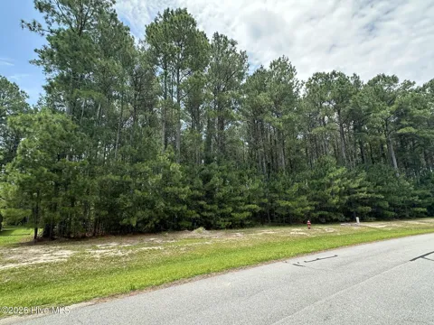 437 Riversound Drive
