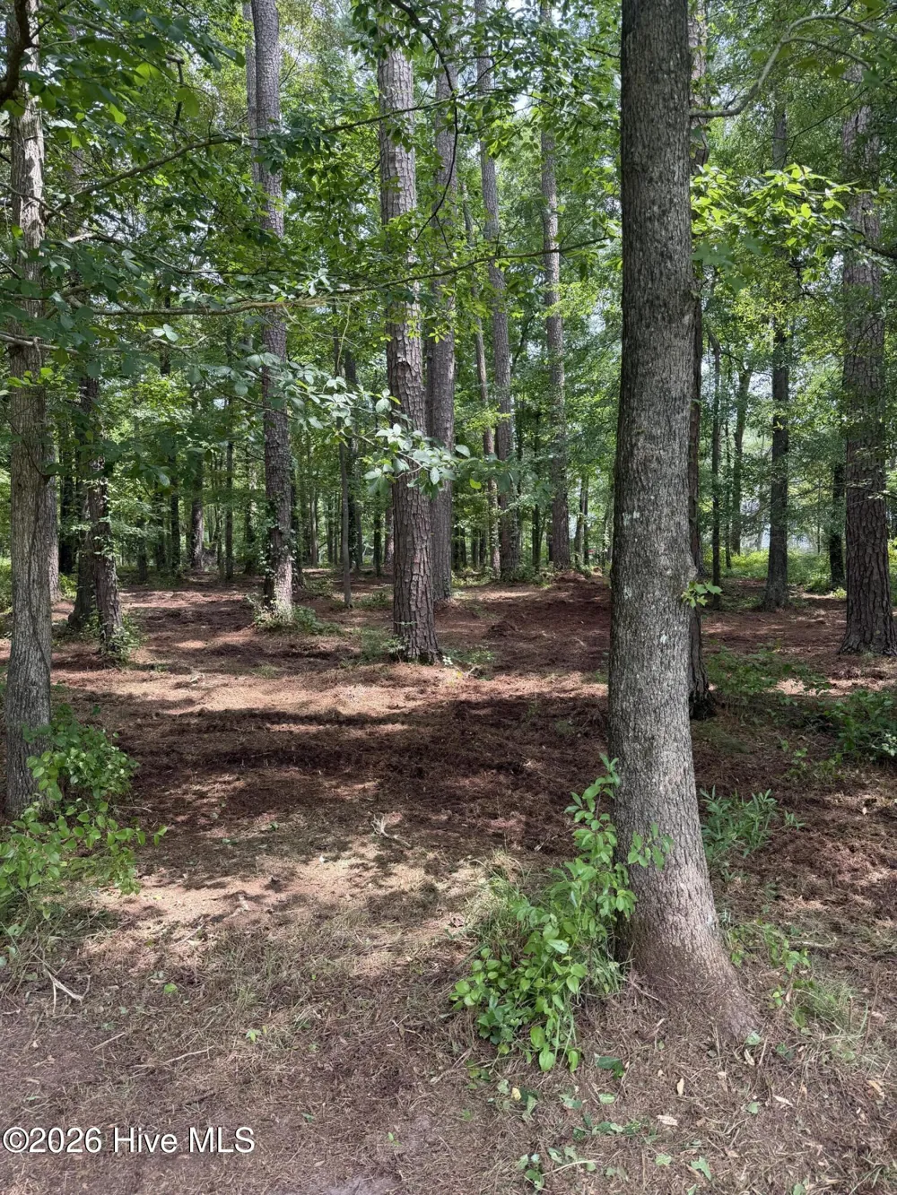 0 Winfield Lane Pinetown, NC 27865
