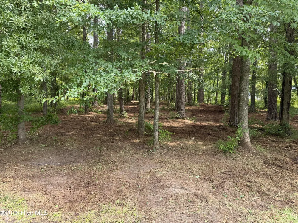 0 Winfield Lane Pinetown, NC 27865